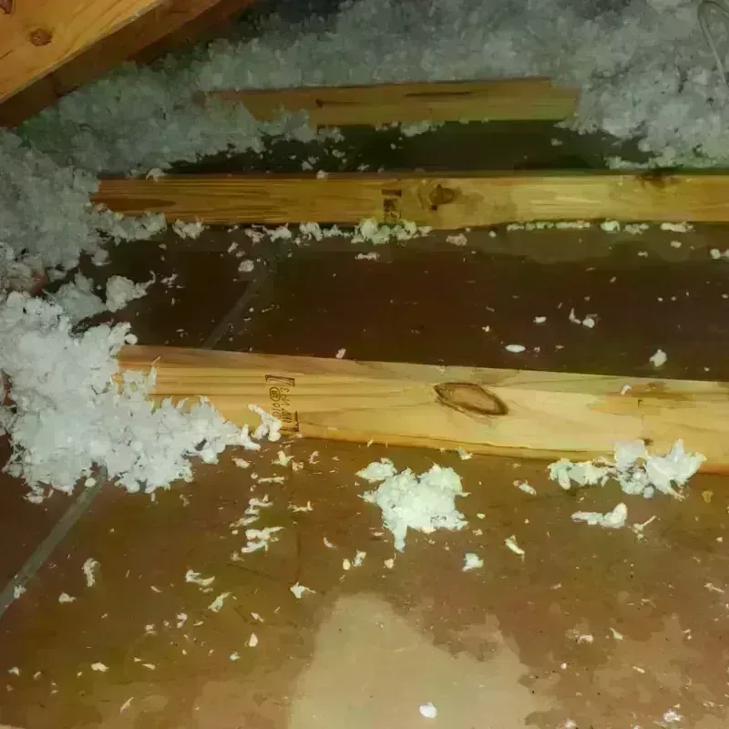 Attic Water Damage in Hawthorne, NV