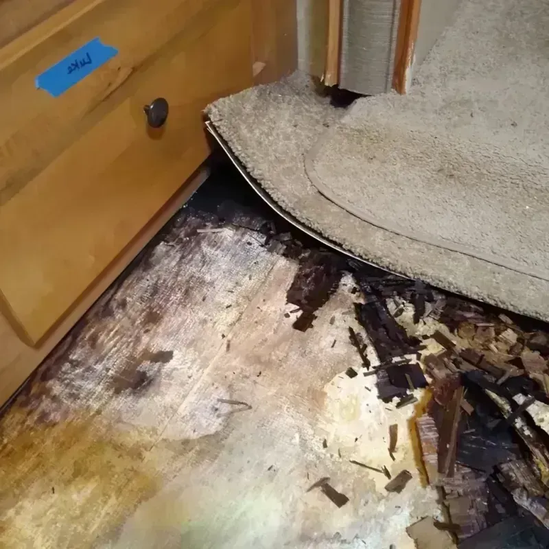 Wood Floor Water Damage in Hawthorne, NV